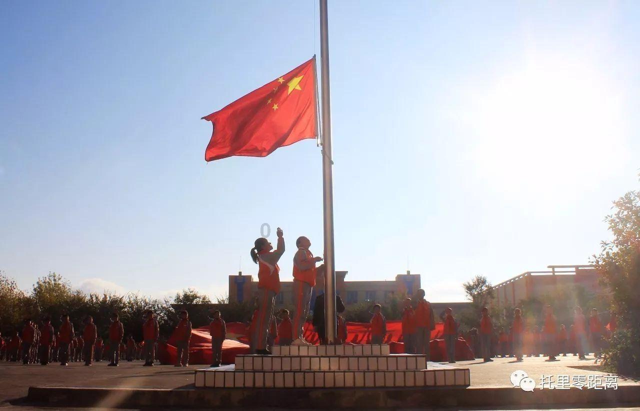 细胞分裂5
