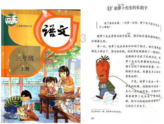 一朵花的奇幻旅行④丨乘风破浪的菏泽催花牡丹产业